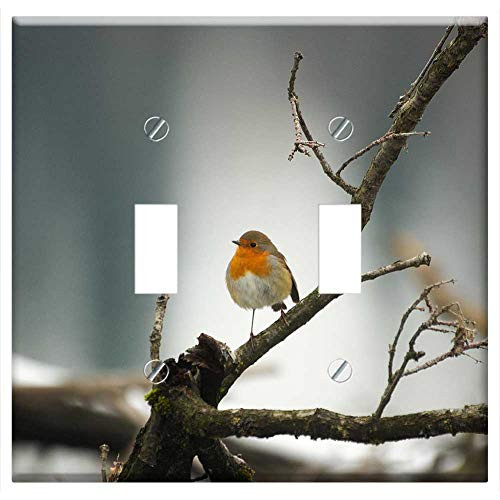 Switch Plate Double Toggle - Robin Bird Small Bird On Branch Songbird