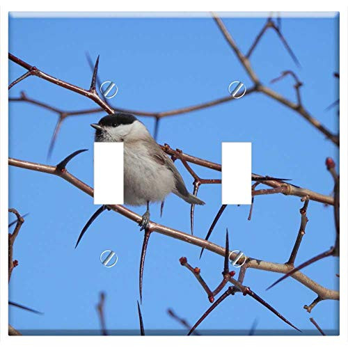 Switch Plate Double Toggle - Black-Capped Chickadee Small Bird Branch Nature