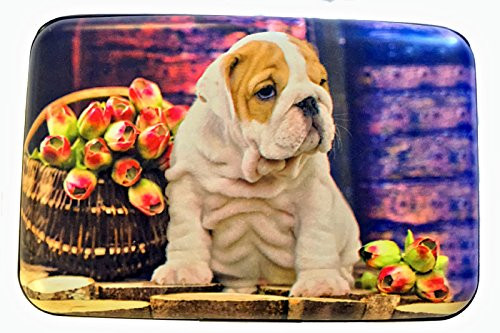 Fig Design Group Bulldog Puppy Flowers RFID Secure Theft Protection Credit Card Armored Wallet