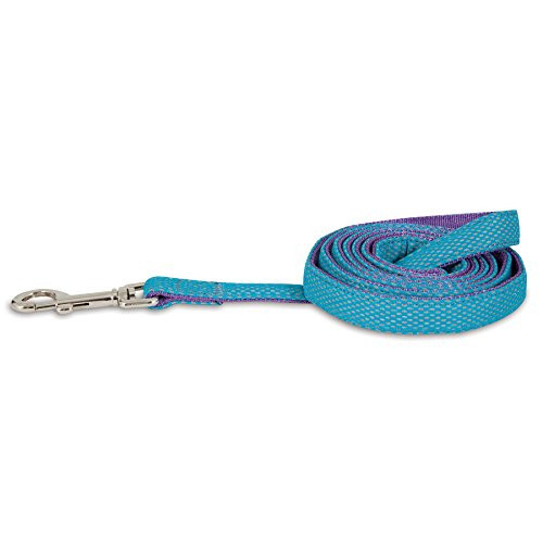 Petmate Leash Reflective Sport- 3/4inch x 6inch- Blue/Purple