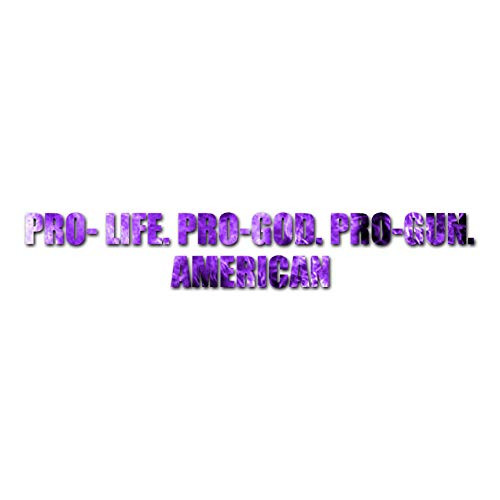 Pro Life Guns God - Vinyl Decal Sticker - 12inch x 2inch - Purple Flames
