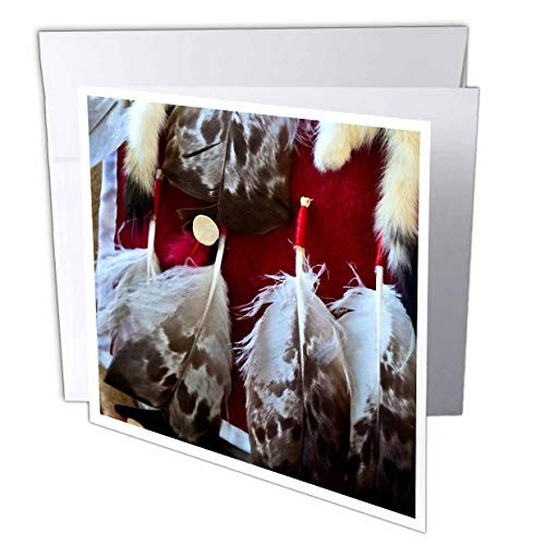3dRose Image of Bird Feathers Attached to a Native American Dress - Greeting Cards -gc_325873_5-