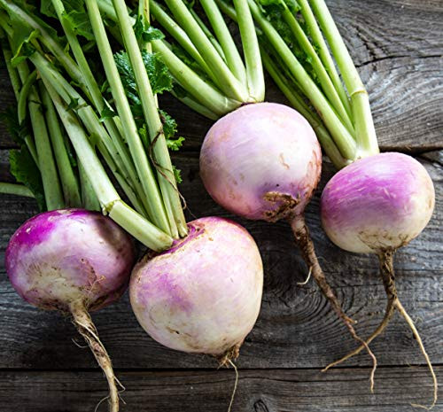 Sweet Yards Seed Co. Organic Turnip Seeds Purple Top White Globe Two Seed Packets Over 1-000 Open Pollinated Heirloom Non-GMO Seeds Sweet Yards Seed Co. Organic Turnip Seeds Purple Top White Globe Two Seed Packets Over 1-000 Open Pollinated Heirloom Non-GMO Seeds