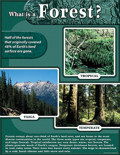 Teacher Created Resources Forest Chart- Multi Color -7612- Teacher Created Resources Forest Chart- Multi Color -7612-