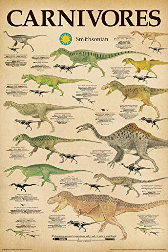 Aquarius NMR Smithsonian Carnivores Dinosaur Chart Poster 24x36