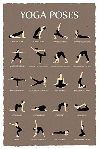 Yoga Poses Reference Chart Studio Gray Cool Wall Decor Art Print Poster 24x36