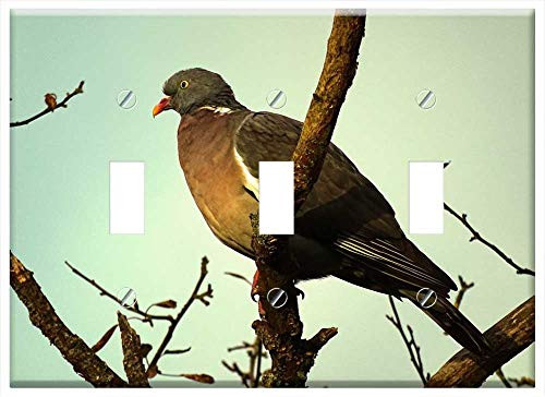 Switch Plate Triple Toggle - Pigeon Birds Branch Morning Calm