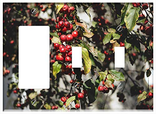 3-Gang 1-Rocker/GFCI 2-Toggle Combination Wall Plate Cover - Nature Agriculture Apple Background Branch Crop 3-Gang 1-Rocker/GFCI 2-Toggle Combination Wall Plate Cover - Nature Agriculture Apple Background Branch Crop