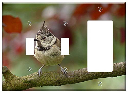 3-Gang 2-Toggle 1-Rocker/GFCI Combination Wall Plate Cover - Bird Tit Crested Tit Lubatumtit Young Branch 3-Gang 2-Toggle 1-Rocker/GFCI Combination Wall Plate Cover - Bird Tit Crested Tit Lubatumtit Young Branch