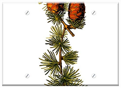 Triple Blank Wall Plate Cover - Branch Conifer Deciduous Herbal Larch Medicinal