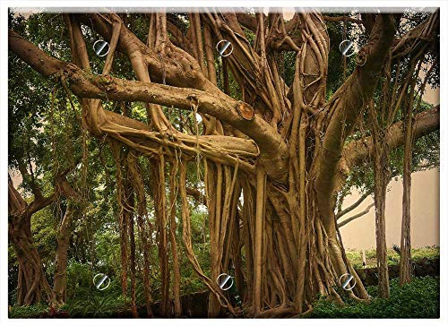 Triple Blank Wall Plate Cover - Nature Tree Plant Branch Landscape