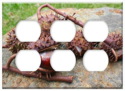 Triple Duplex Outlet Wall Plate Cover - Chestnut Chestnut Branch Chestnut Tree Autumn