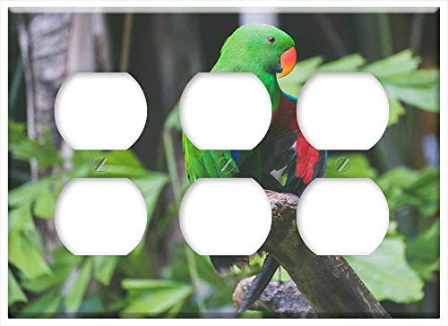 Triple Duplex Outlet Wall Plate Cover - Animal Animal Photography Bird Branch Exotic