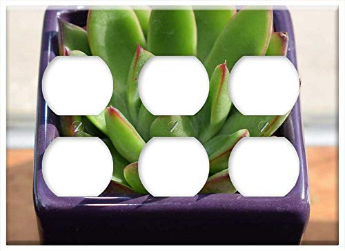 Triple Duplex Outlet Wall Plate Cover - Succulent In Purple Pot Echeveria Agavoides