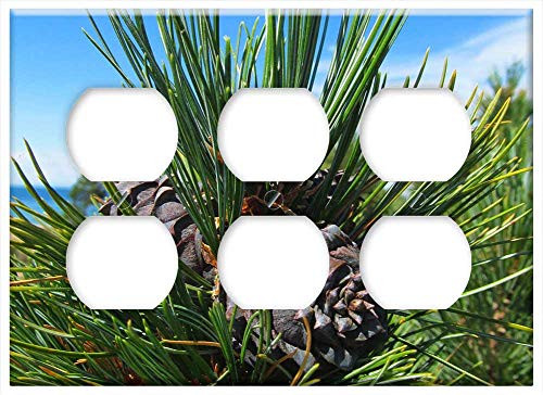 Triple Duplex Outlet Wall Plate Cover - Cedar Conifer Nature Coniferous Tree Tree Branch