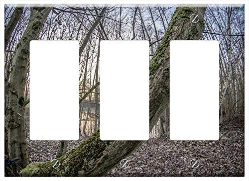 Switch Plate Triple Rocker/GFCI - Tree Wood Nature Branch Season Forest Winter Switch Plate Triple Rocker/GFCI - Tree Wood Nature Branch Season Forest Winter