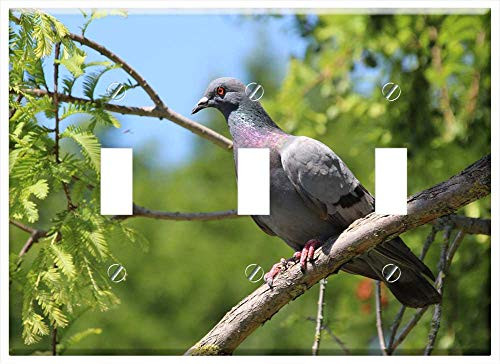 Switch Plate Triple Toggle - Dove Branch Bird