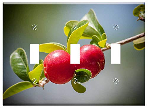 Switch Plate Triple Toggle - Cherry Cherries Tree Fruit Branch Nature Outside