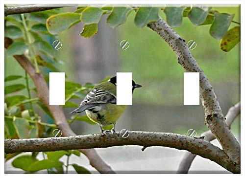 Switch Plate Triple Toggle - Tit Little Bird Spevavy Garden Tree A Branch