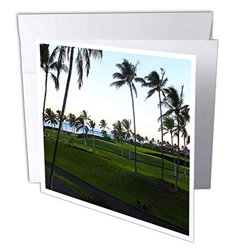 3dRose Waikoloa Beach Resort Overlooking The Ocean Off Hawaii - Greeting Card- 6inch x 6inch- Single -gc_232747_5-