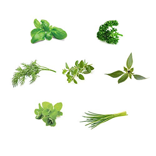 AeroGarden Gourmet Herb Seed Pod Kit -7 pod- AeroGarden Gourmet Herb Seed Pod Kit -7 pod-