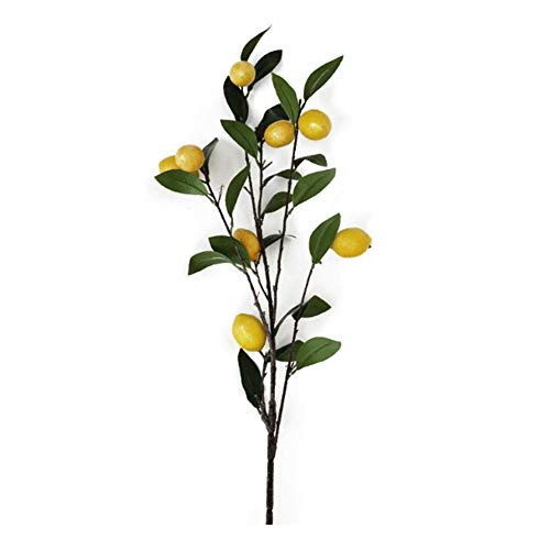 Okngr Artificial Lemon Branch- Fake Lemon Tree Decor Simulation Lemon Tree Plants Artificial Flower Branche Fake Flowers Real Touch Branche Photography Props Flowers for Home Wedding Party Decoration Okngr Artificial Lemon Branch- Fake Lemon Tree Decor Simulation Lemon Tree Plants Artificial Flower Branche Fake Flowers Real Touch Branche Photography Props Flowers for Home Wedding Party Decoration