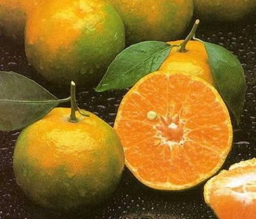 Italian Tangerine Orange 10 Seeds Fruit Tree very sweet Citrus Tangerina
