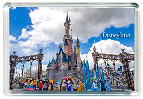 J394 Disneyland Jumbo Refrigerator Magnet US American Travel Fridge Magnet USA