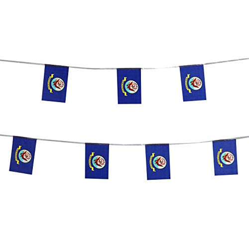 TSMD 100 Feet US Navy Flag Small Mini United States Military Polyester Flags Banner,Decorations Supplies for Army Party Events Celebration