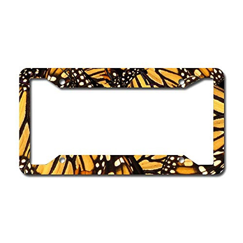 Orange Black Monarch Butterfly Car License Plate Frame - Chrome Metal Auto License Plate Frame Tag Holder Frame Cover - 12inchx6inch for Universal Cars Orange Black Monarch Butterfly Car License Plate Frame - Chrome Metal Auto License Plate Frame Tag Holder Frame Cover - 12inchx6inch for Universal Cars