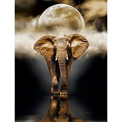 DIY 5D Diamond Painting Kit, Full Diamond Elephant Embroidery Rhinestone Cross Stitch Arts Craft Supply for Home Wall Decor