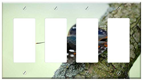 Switch Plate 4 Gang Rocker/GFCI - Butterfly Tree Branch Green Nature Spring Macro