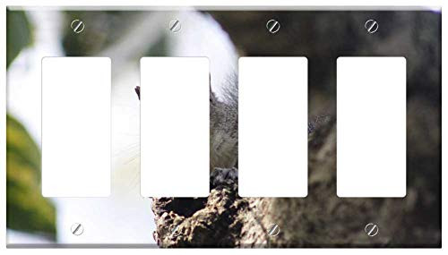 Switch Plate 4 Gang Rocker/GFCI - Squirrel Branch Wood Leaf Animal Nature Forest Switch Plate 4 Gang Rocker/GFCI - Squirrel Branch Wood Leaf Animal Nature Forest