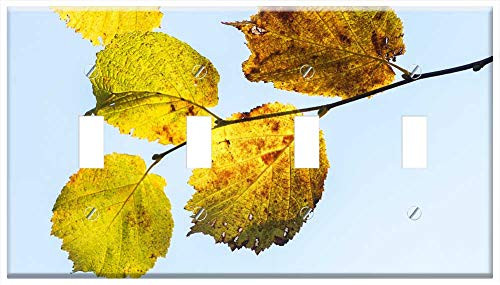 Switch Plate 4 Gang Toggle - Hazel Leaves Hazel Branch Fall Leaves Autumn 1