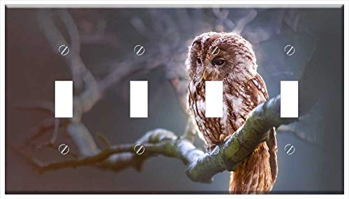 Switch Plate 4 Gang Toggle - Owl Bird Predator Branch Nature Winter