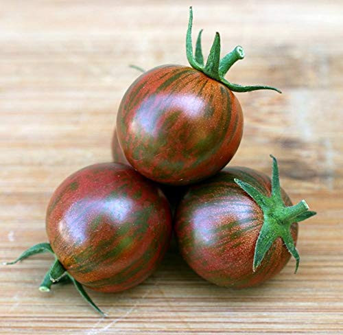 VietFA Tomato S??ds for Pl?nting - Purple Bumblebee Tomato S??ds - 25 S??ds