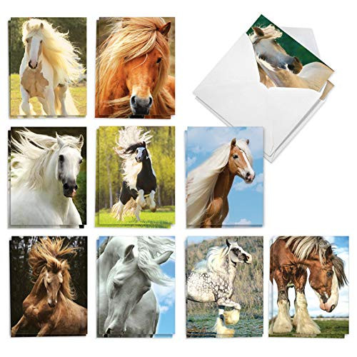The Best Card Company - 20 Assorted Bulk Animal Cards Boxed -4 x 5.12 Inch- -10 Designs- 2 Each- - Magnificent Manes AM4601OCB-B2x10