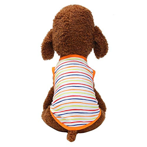 Howstar Pet Vest Shirt Classic Striped Dog T Shirts for Puppy Summer Breathable Clothing for Pet Cats Dogs -Orange- XS- Howstar Pet Vest Shirt Classic Striped Dog T Shirts for Puppy Summer Breathable Clothing for Pet Cats Dogs -Orange- XS-