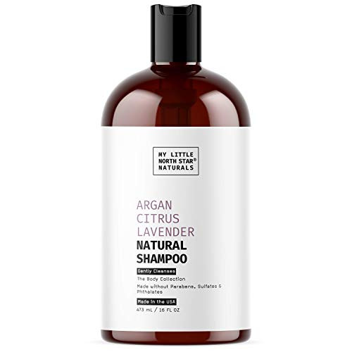 Argan Shampoo | Natural Argan Citrus Lavender Shampoo | Made in USA | Made Without Sulfate - Packaging May Vary