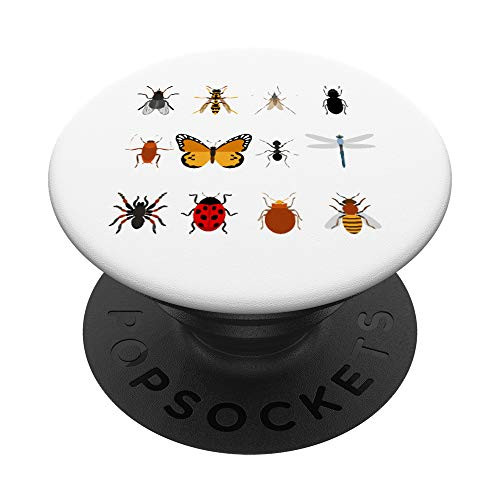 Entomology Insect Chart Entomologist Bug Types Gift PopSockets PopGrip- Swappable Grip for Phones  and  Tablets