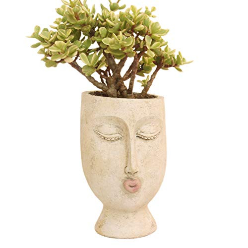 IFUNEYS Head Planter Face Flower Pot Succulent Plant Pots Indoor Outdoor with Drainage Hole -Ms Head Planter-