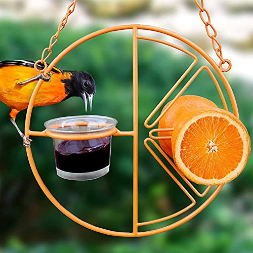 Oriole Bird Feeder for Outdoors Jelly and Oranges - 2 in 1 Hanging Clementine Hummingbird Oriole Feeder - Outdoor Garden Metal Hanger Drinking Grape Jelly Container Hummingbird Feeder -A- Oriole Bird Feeder for Outdoors Jelly and Oranges - 2 in 1 Hanging Clementine Hummingbird Oriole Feeder - Outdoor Garden Metal Hanger Drinking Grape Jelly Container Hummingbird Feeder -A-