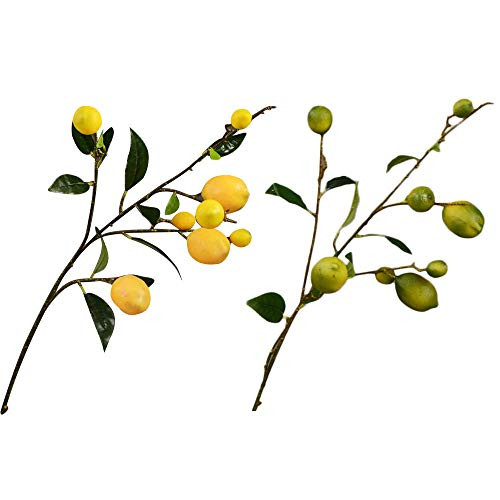 RESOYE 2 Pack Artificial Lemon Branch- 36Inch Fake Lemon Branch with Green Leaves- Yellow Fake Small Lemon Decorations Simulation Fruit Branches for Kitchen Home Garden Farmhouse RESOYE 2 Pack Artificial Lemon Branch- 36Inch Fake Lemon Branch with Green Leaves- Yellow Fake Small Lemon Decorations Simulation Fruit Branches for Kitchen Home Garden Farmhouse