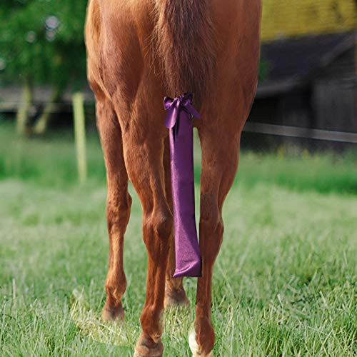 Harrison Howard Silk Shine Horse Tail Bag Horse Tail Guard-Plum Purple