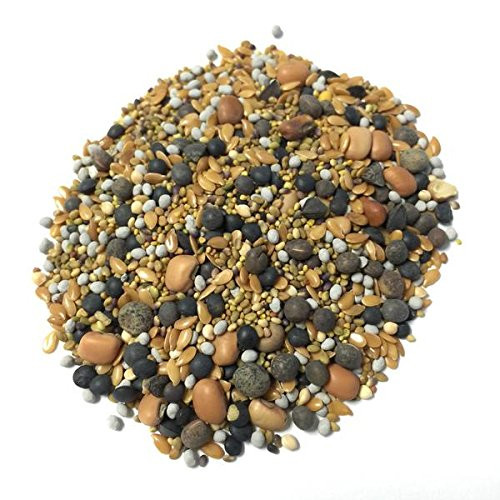 Clover Cover Crop Blend - 12 Seed BuildASoil Mix 60% Clover (1/2 lb)