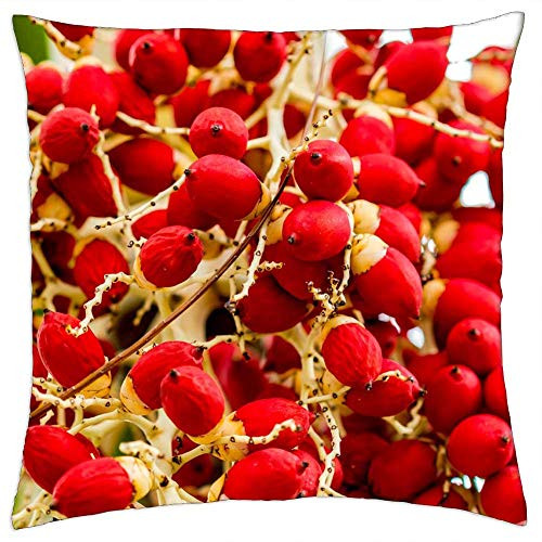LESGAULEST Throw Pillow Cover -16x16 inch- - Tree Flower Nature Bloom Branch Blooming Garden LESGAULEST Throw Pillow Cover -16x16 inch- - Tree Flower Nature Bloom Branch Blooming Garden