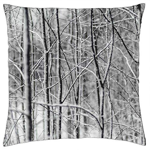LESGAULEST Throw Pillow Cover -16x16 inch- - Tree Branch Plant Nature Snow 2