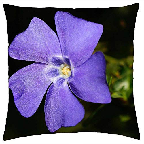 LESGAULEST Throw Pillow Cover -16x16 inch- - Periwinkle Flower Blossom Bloom Purple Macro LESGAULEST Throw Pillow Cover -16x16 inch- - Periwinkle Flower Blossom Bloom Purple Macro