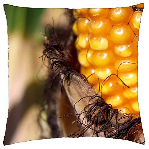 LESGAULEST Throw Pillow Cover -16x16 inch- - Corn Corn On The Cob Cornfield Field Piston Yellow LESGAULEST Throw Pillow Cover -16x16 inch- - Corn Corn On The Cob Cornfield Field Piston Yellow