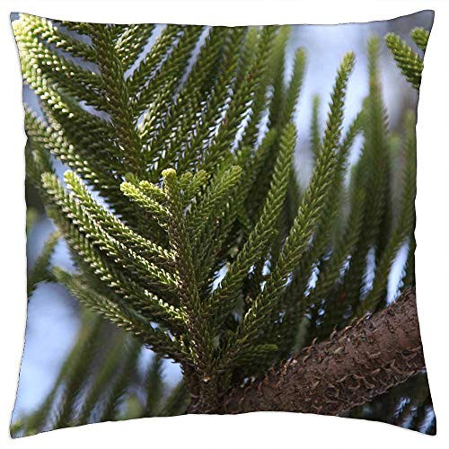 LESGAULEST Throw Pillow Cover -16x16 inch- - Branch Sky Green Leaves Brown Tree Nature